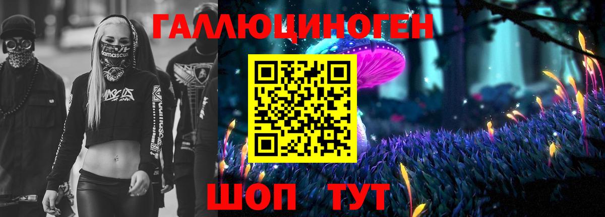 Уварово  Псилоцибиновые грибы прущие грибы  Вход с VPN 